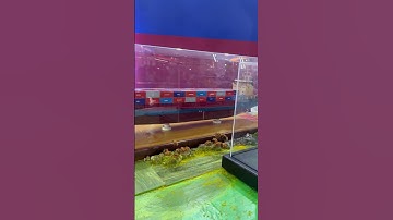 Dấu Ấn Hải Phòng tại Triển Lãm A80 Mừng 80 Năm Quốc Khánh