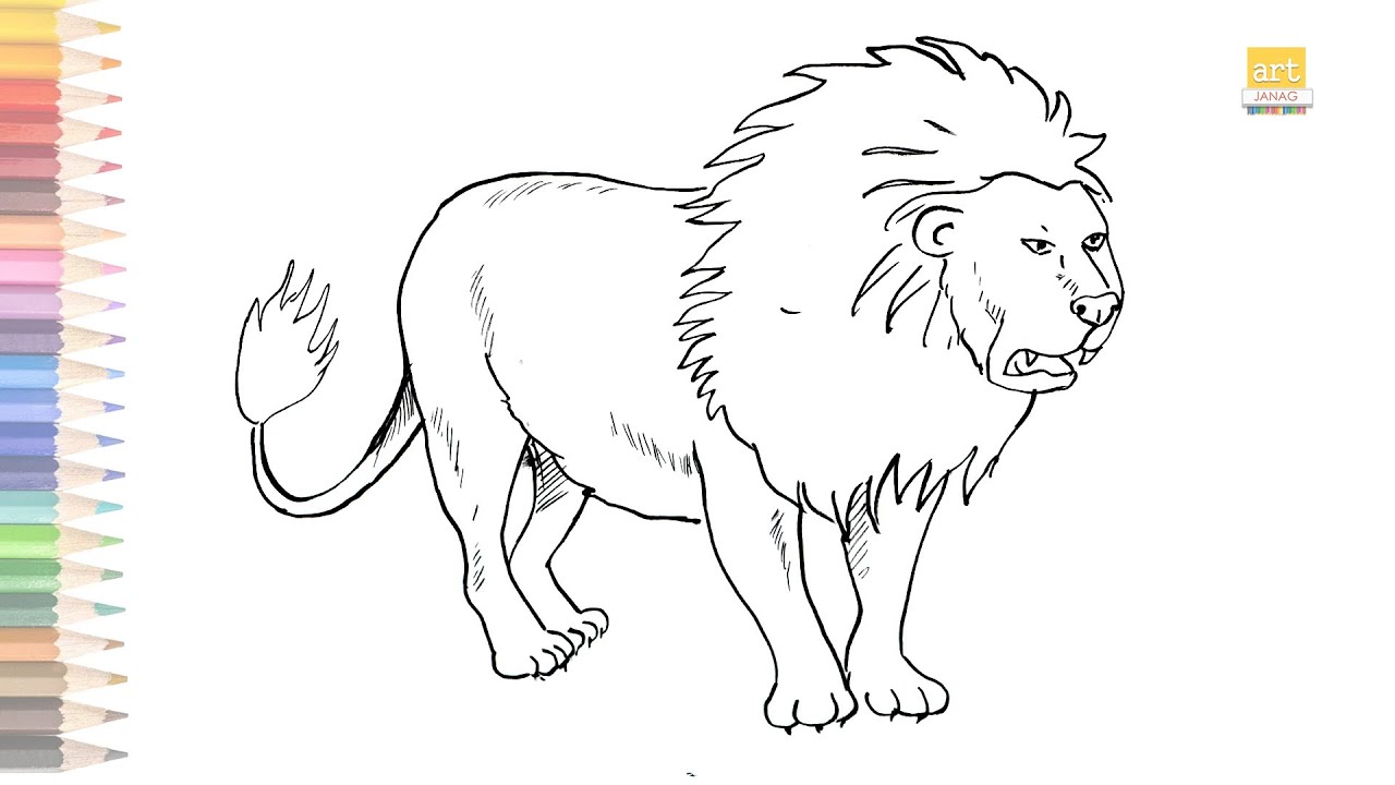 Lion outline drawing 02 / How to draw Lion drawing step by step ...