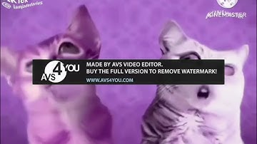 Preview 2 numa cat center effects [avs version]