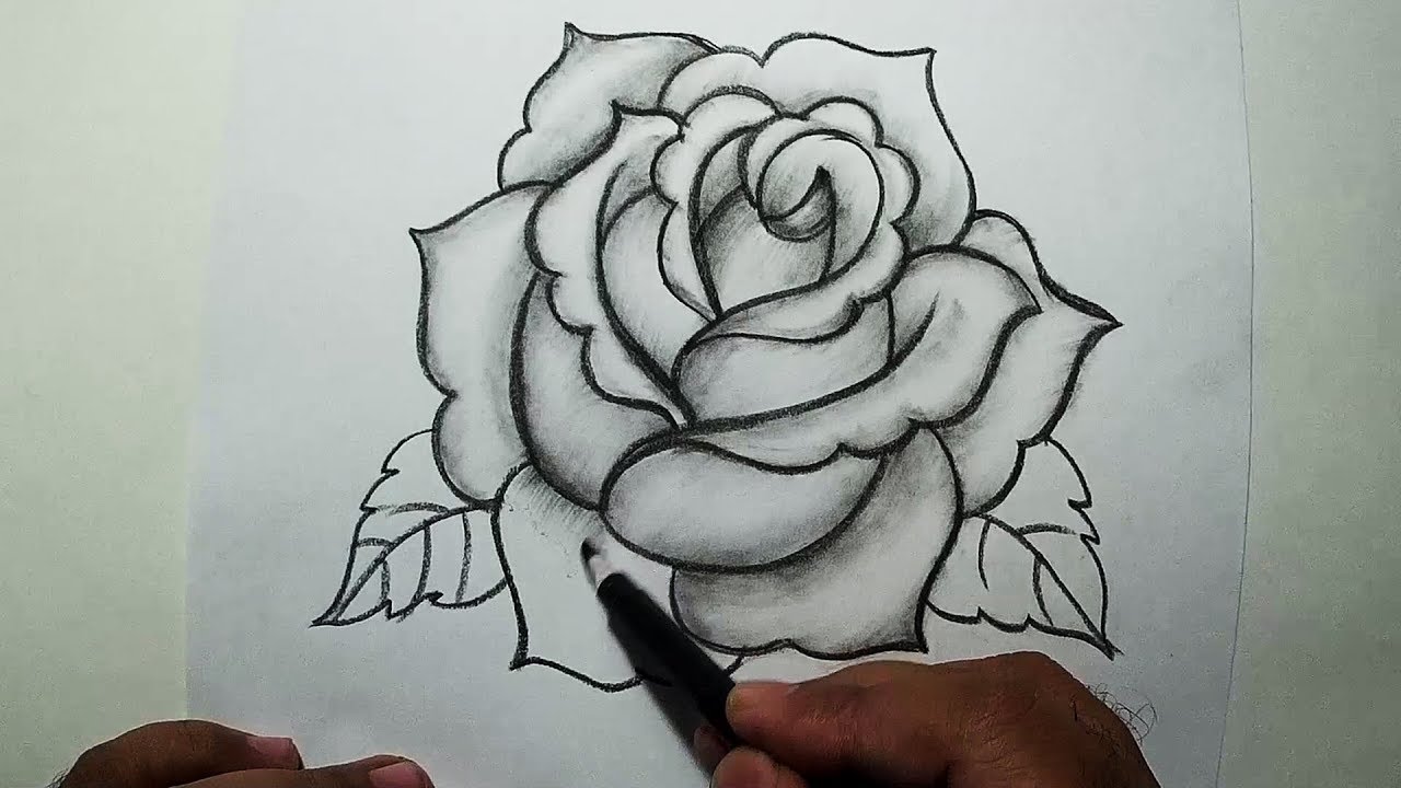 How To Draw A Rose For Beginners With Pencil Step By Step - Infoupdate.org