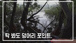 경기도 안성 배스낚시 금광지 포인트  비오는날 커버 공략 스키핑 그리고 캐스팅의 중요성 BASS FISHING #낚시
