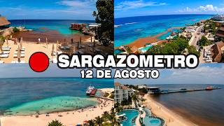 Sargazo Hoy en Cozumel y posible Huracan SARGAZOMETRO 12 de Agosto