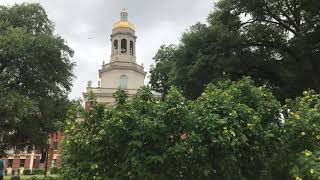"That Good Old Baylor Line" -- McLane Carillon
