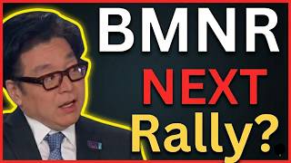Why Blackrock Is Buying Bitmine Bmnr While Retail Investors Panic? - Bmnr Stock Analysis