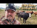 My follower count is way up!