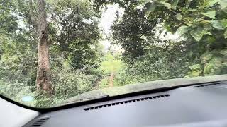 Mahindra Scorpio N jungle drive
