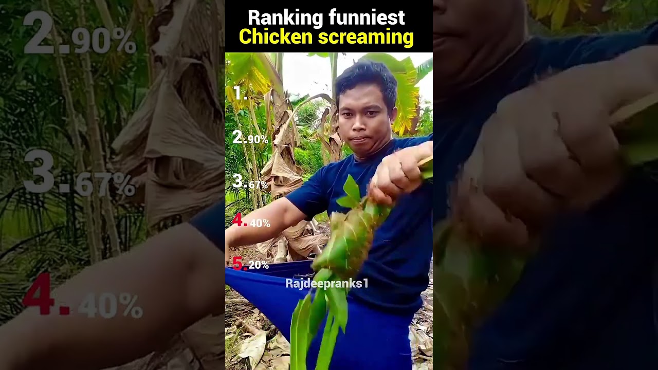 Ranking funniest chicken screaming moments 🐔💀😂 #shortsfeed #moments #funny #memes #shorts #viral