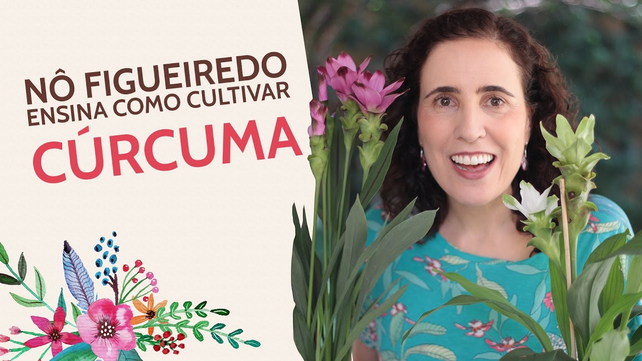 Tudo sobre a Cúrcuma Comestível! | Nô Figueiredo - thptnganamst.edu.vn