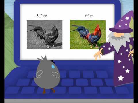 Semantic Colorize - Fast Forward SIGGRAPH Asia 2011