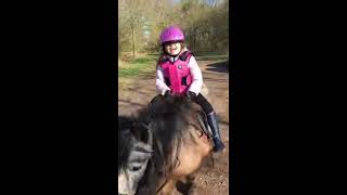 #ponyrijden#shetlander#apaloosa#horses #ponyrijden#shetlander#apaloosa#horses