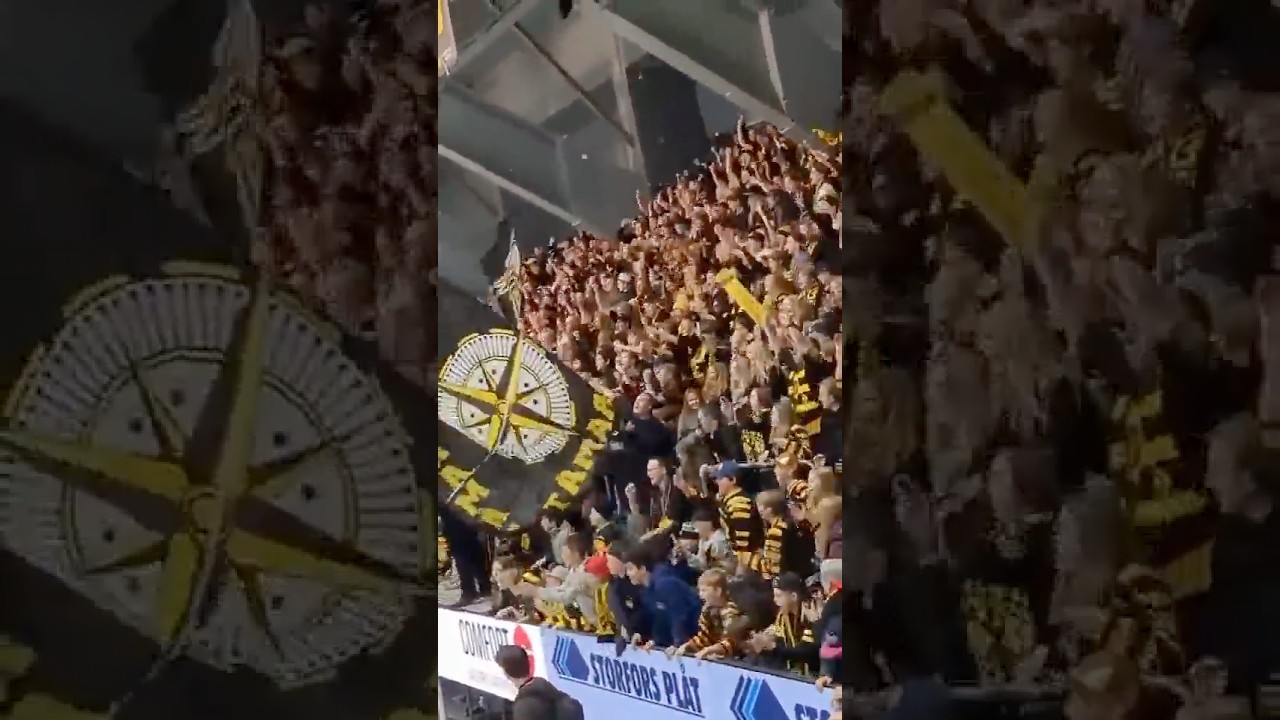 Skellefteå AIK firar vinst i Norrlandsderbyt mot Luleå HF