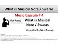 What is swar  music capsule 4 by meri awaaj