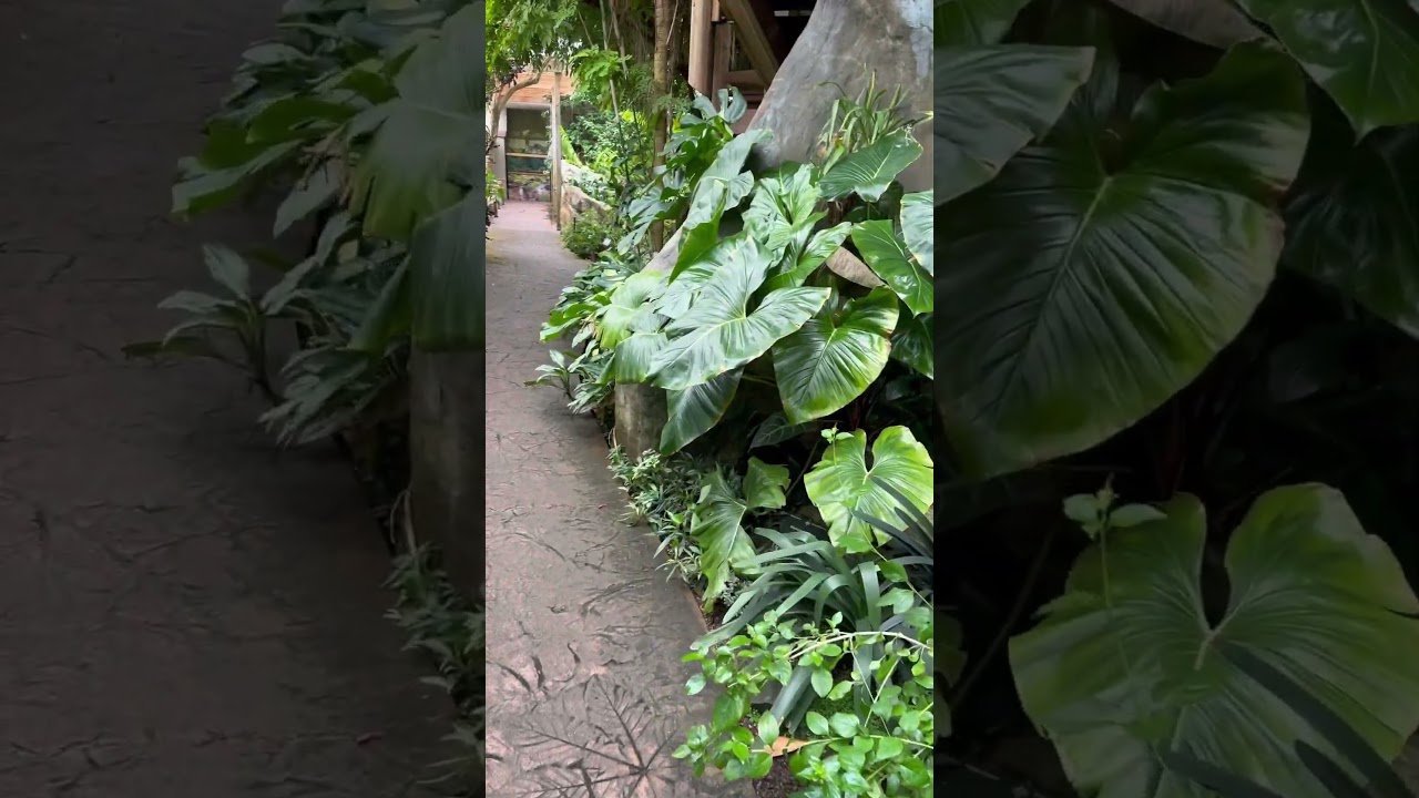 Discover the Hidden Beauty of the Botanic Gardens: A Tranquil Escape Awaits!