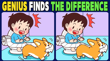 【Spot the difference】Genius finds the difference【Find the difference】67