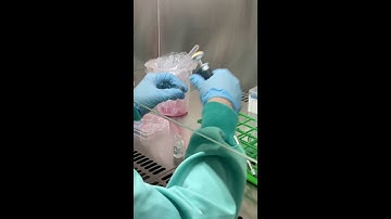 Generation of Patient derived organotypic tumor spheroids (PDOTS) in colorectal cancer