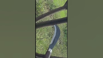 Tôi làm con dao quắm phát rẫy bằng thép mắt xích xe tăng Đức chặt cây như chặt chuối vậy thật hiếm