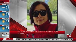 Asian Woman Killed While Walking Dogs