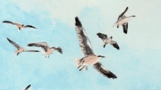 Shaina Taub - The Last Song On Earth (Official Music Video)
