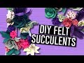 DIY FELT SUCCULENTS (+ Monogram Planter) || Actually Alli