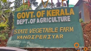 State Vegetable Farm Vandiperiyar, Dept of Kerala Agriculture