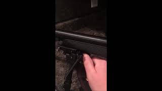 Champion Pivit Bipod