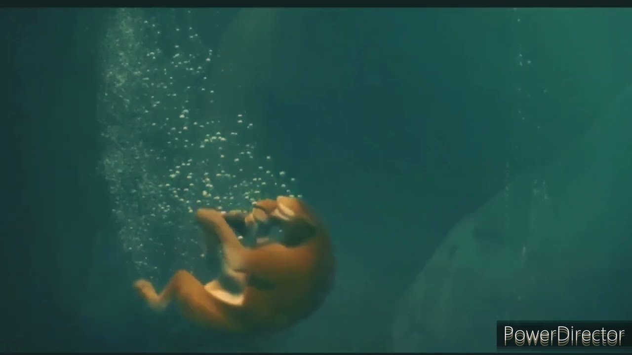 Two Ice Ice Age 2 Diego Swim