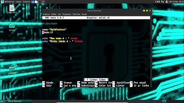 CURSO SHELL SCRIPT,  VARIÁVEIS E ENTRADA DE DADOS