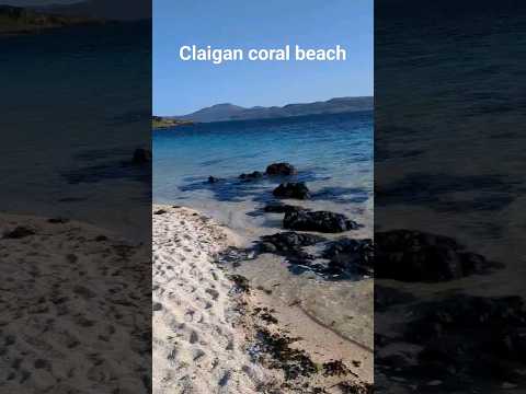 evening stroll on claigan coral beach #hiking #travel #scotland #isleofskye #dog #beach #shorts