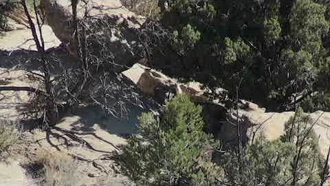 Giant 3x3 New Mexico Mule Deer - Rifle Hunt