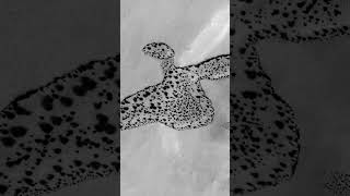 Mysterious Anomalies On Mars. Raw Images