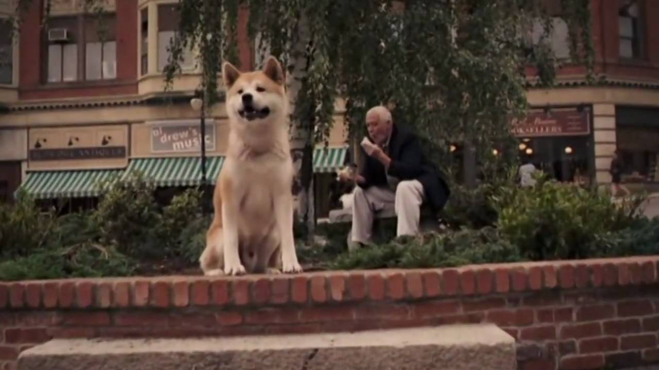Hachiko A Dog's Story Music Video (Under The Fence) YouTube