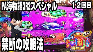 PA海物語3R2スペシャル パチンコ実践動画 No.12【みかん王国】