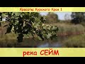 Река СЕЙМ  (Красоты Курского Края - 1)