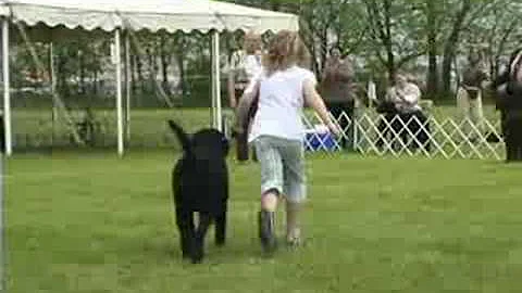 Libby Ryan Handles "Ralph" to 2nd Place in Veteran...