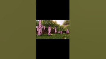 This is the best shader for MCPE 💀 #minecraft #shorts