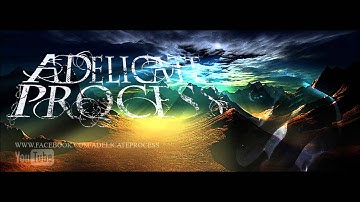 A Delicate Process - Integrity