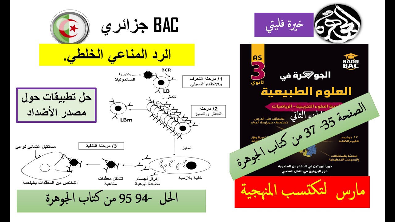 حل تطبيقات رائعة حول الرد المناعي الخلطي