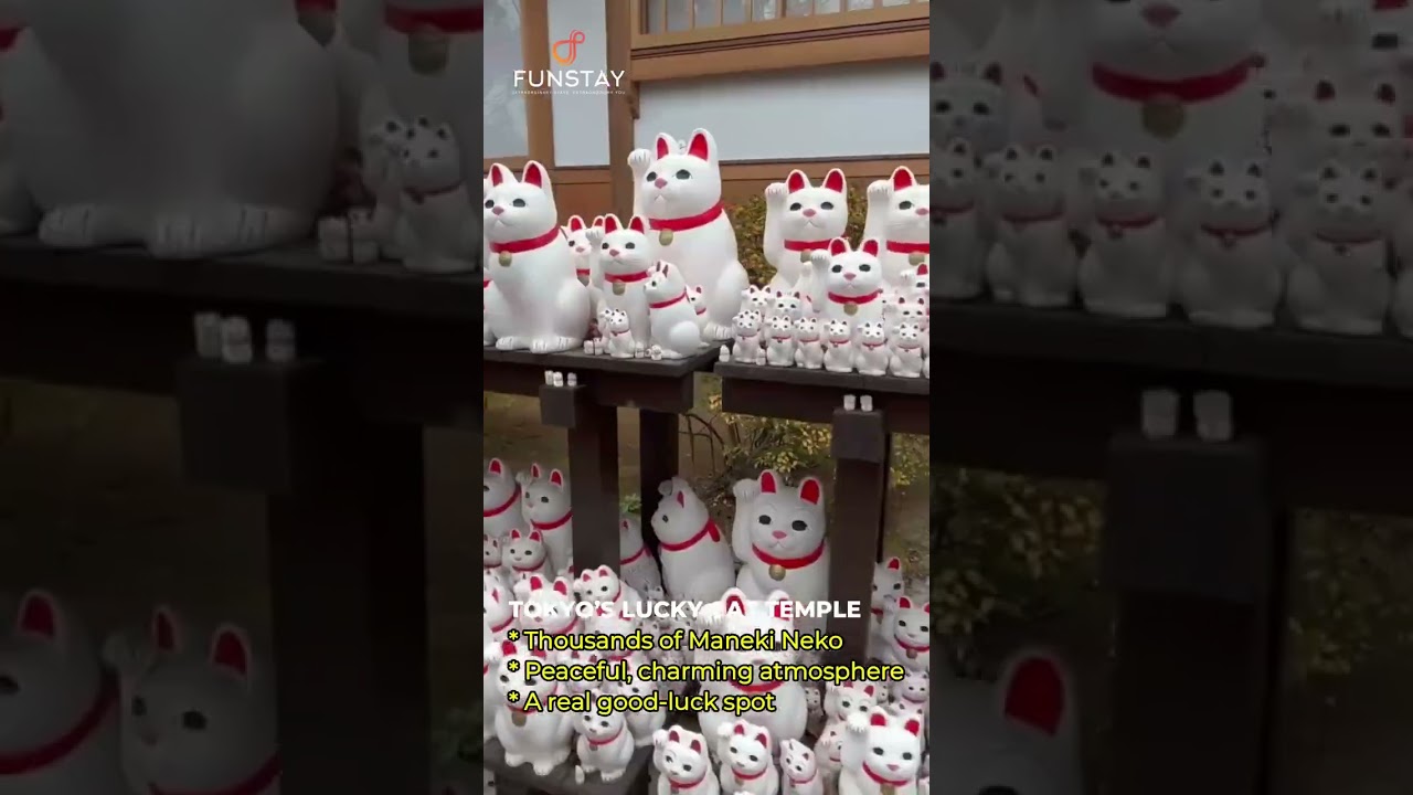 Most underrated Places in Tokyo - Japan| Funstay