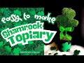 DIY Shamrock Topiary   SD 480p