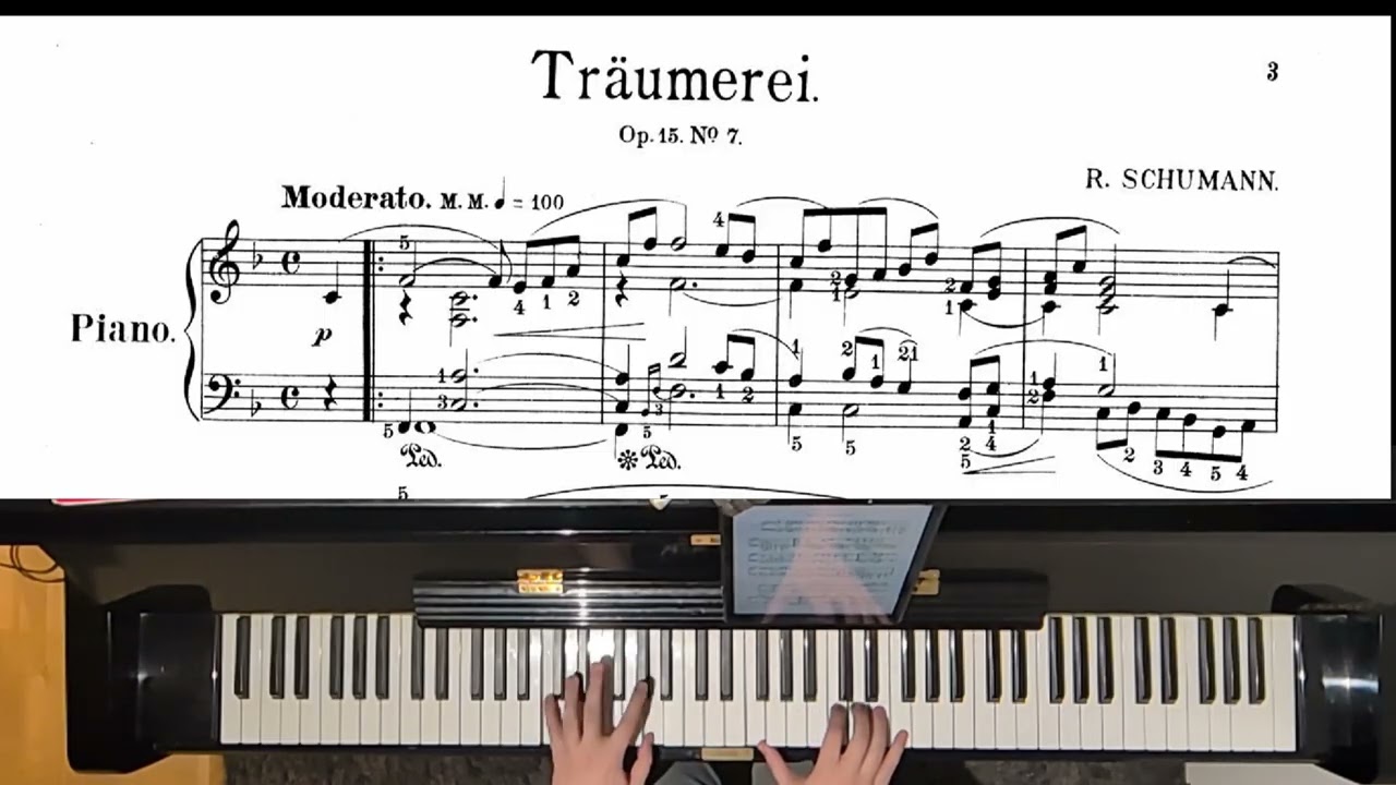 SCHUMANN - TRÄUMEREI (KINDERSZENEN) (Day 54)