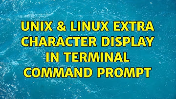 Unix & Linux: Extra Character Display in Terminal Command Prompt (2 Solutions!!)