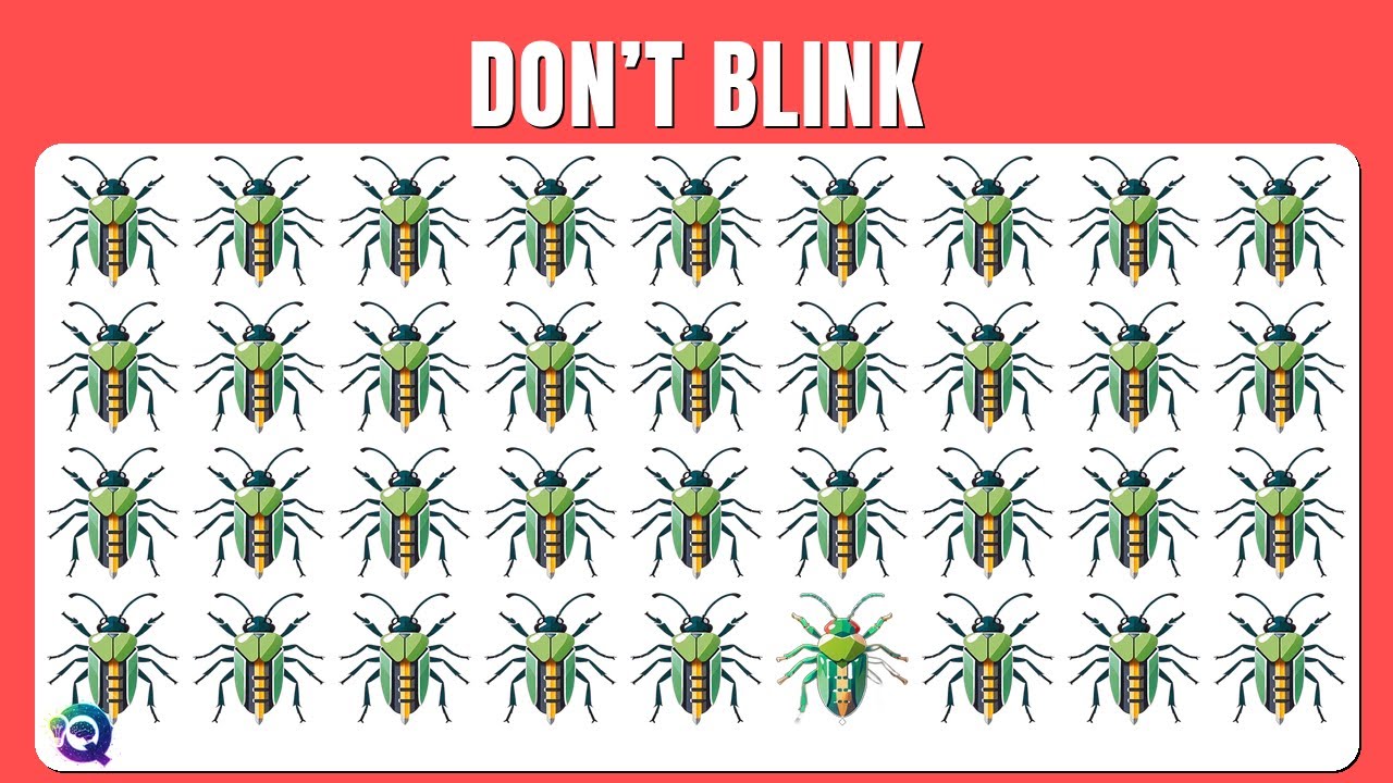 Find the ODD One Out - Construction Worker Insects ⛰➊🎮🎯 | Easy, Medium & Hard | 42 Levels | Quizity