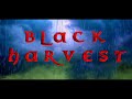 BLACK HARVEST Opening Scene/Title Card (OFFICIAL)