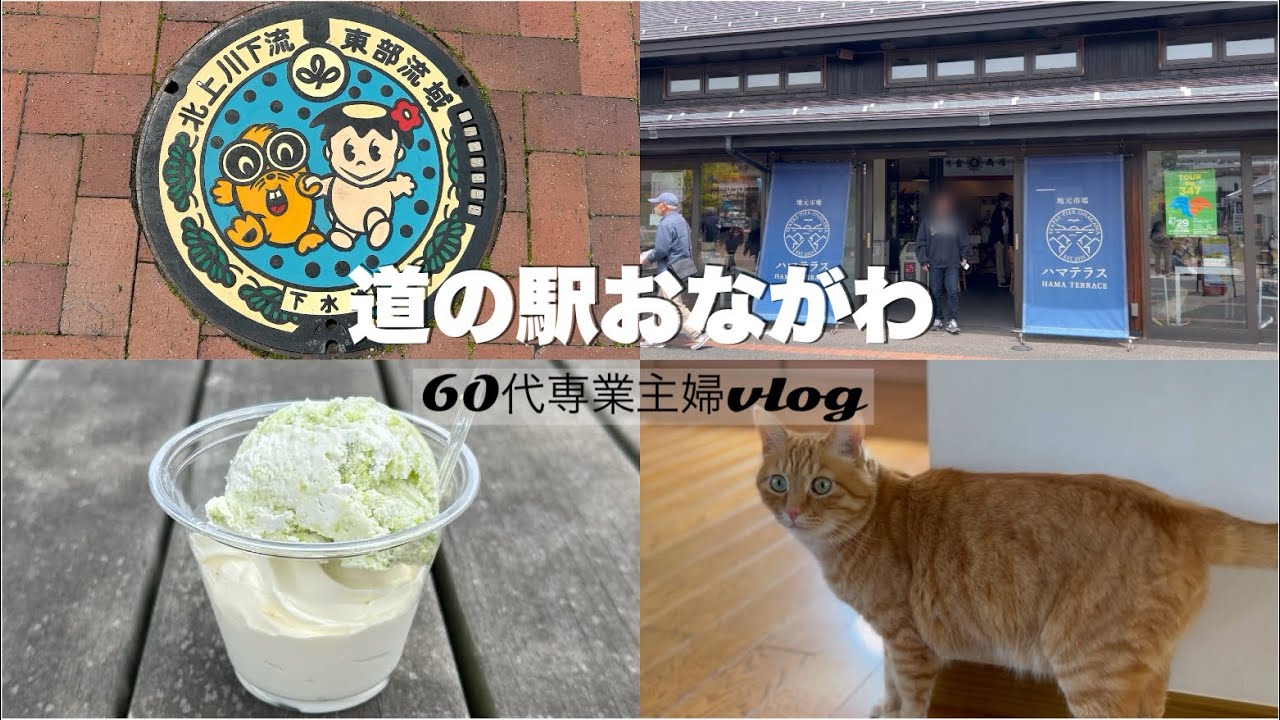 【宮城観光】いしのまき元気いちば｜道の駅おながわ｜女川駅｜からやま｜猫のお出迎え｜購入品紹介｜シニアライフ｜60代専業主婦｜主婦vlog