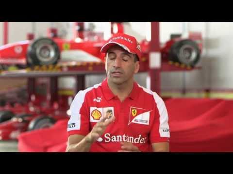 2013 Abu Dhabi F1™ GP: Inside Track