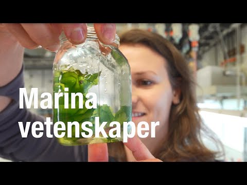 Marina vetenskaper