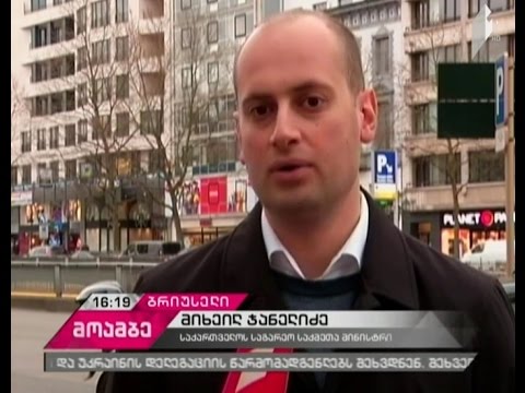 ბრიუსელში საქართველოს დელეგაციის ვიზიტი დასრულდა