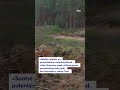 Ümberehitus käib täies hoos