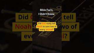 Did God Really Tell Noah To Save Two of Every Animal? - Bible Facts 02 #shorts