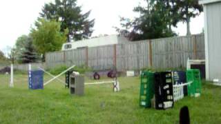 Magic-Star May Rabbit Hopping Training Part 1